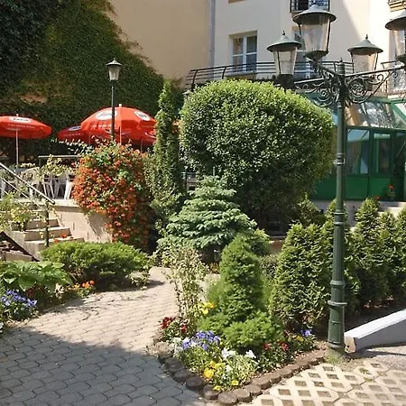 코르빈 코르빈 윙
